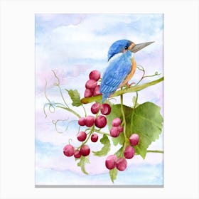 Blue Kingfisher Perched On Grapes Canvas Print