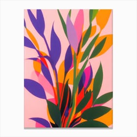 Fittonia Colourful Illustration Plant Canvas Print