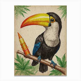 Toucan 27 Canvas Print