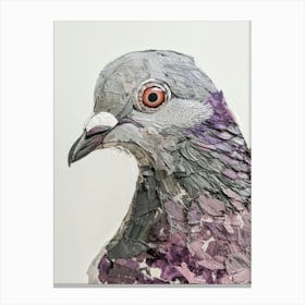 Pigeon 2 Canvas Print