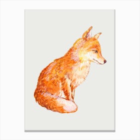 Fox Watercolor Painting Canvas Print