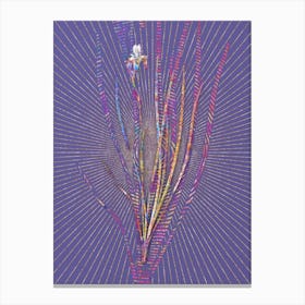 Geometric Siberian Iris Mosaic Botanical Art on Veri Peri n.0062 Canvas Print