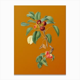 Vintage Musky Pear Botanical on Sunset Orange n.0419 Canvas Print