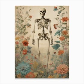 Botanical Skeleton Vintage Painting (15) Canvas Print
