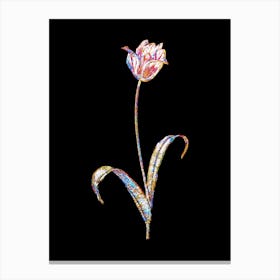 Stained Glass Didier's Tulip Mosaic Botanical Illustration on Black n.0316 Canvas Print