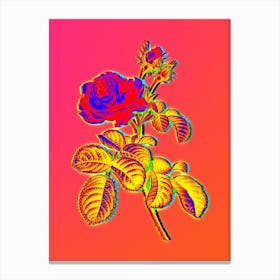 Neon Provence Rose Botanical in Hot Pink and Electric Blue n.0432 Canvas Print