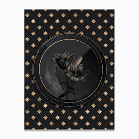 Shadowy Vintage Orange Bulbous Lily Botanical in Black and Gold n.0143 Canvas Print