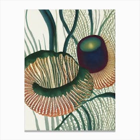 Lobed Comb Jelly Vintage Graphic Watercolour Canvas Print