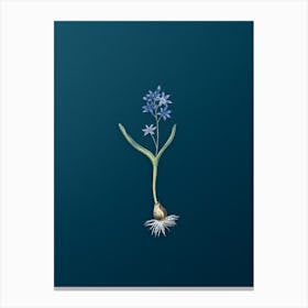 Vintage Alpine Squill Botanical Art on Teal Blue n.0500 Canvas Print