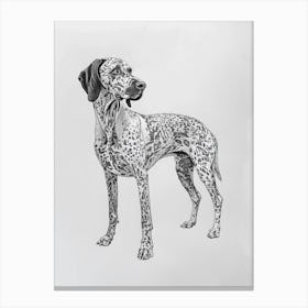 Pointer Dog Black & White Line Sketch 3 Canvas Print