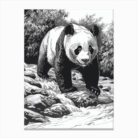 Giant Panda Standing On A Riverbank Ink Illustration 1 Canvas Print