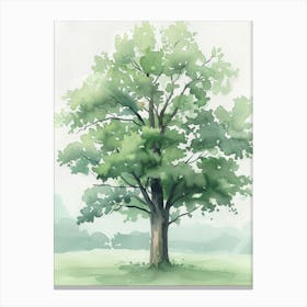 Beech Tree Atmospheric Watercolour Painting 2 Canvas Print