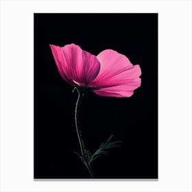 Single Pink Flower 4 Canvas Print