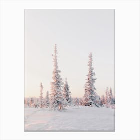 Arctic Snowy Sunrise Canvas Print