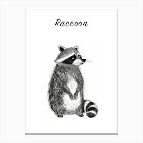 B&W Raccoon Poster Canvas Print