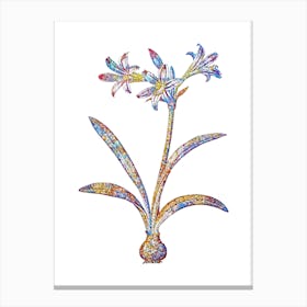 Stained Glass Amaryllis Mosaic Botanical Illustration on White n.0195 Canvas Print