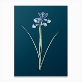Vintage Spanish Iris Botanical Art on Teal Blue n.0777 Canvas Print