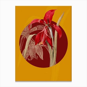 Vintage Botanical Amaryllis on Circle Red on Yellow Canvas Print