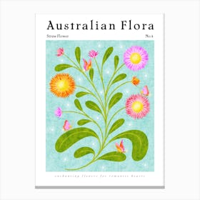 Australian Flora Straw Flower Canvas Print