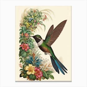 Hummingbird botanical flower beauty 2 Canvas Print