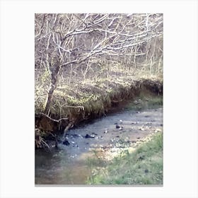 Stream In The Woods Canvas Print