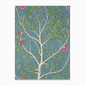 Japanese Zelkova tree Vintage Botanical Canvas Print