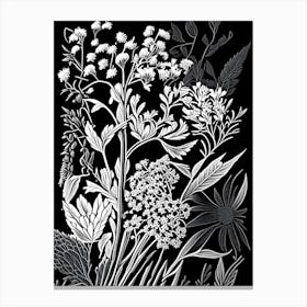 Wild Quinine Wildflower Linocut 1 Canvas Print