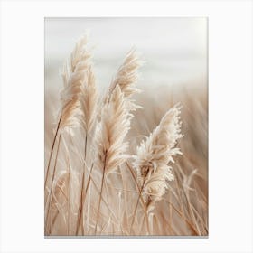 Pampas Grass By The Sea Canvas Print