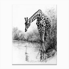 Giraffe Drinking Out Of A Watering Hole 2 Canvas Print