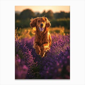 Dog Running In Lavender Field. Generated AI. Art Print 1 Toile