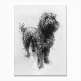 Komondor Dog Charcoal Line 1 Canvas Print