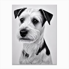 Biewer Terrier B&W Pencil dog Canvas Print