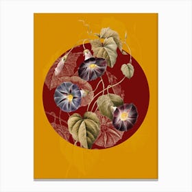 Vintage Botanical Morning Glory Spomaea Quamodit on Circle Red on Yellow n.0037 Canvas Print