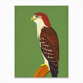 Red Tailed Hawk 2 Midcentury Illustration Bird Canvas Print