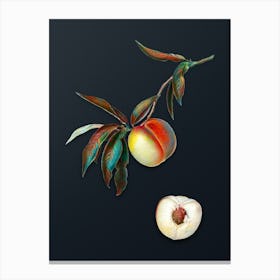 Vintage Peach Botanical Watercolor Illustration on Dark Teal Blue n.0940 Canvas Print