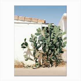 Cactus in front of Ibiza House // Ibiza Nature & Travel Photography Canvas Print