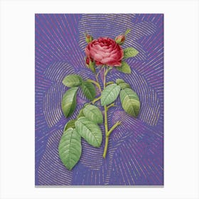 Vintage Red Gallic Rose Botanical Illustration on Veri Peri Canvas Print