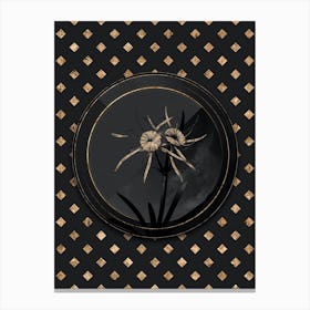 Shadowy Vintage Streambank Spiderlily Botanical in Black and Gold n.0163 Canvas Print