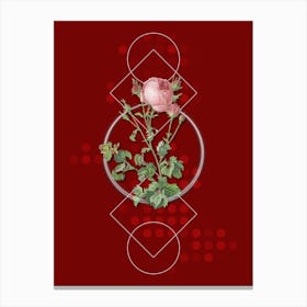 Vintage Celery Leaved Cabbage Rose Botanical with Geometric Line Motif and Dot Pattern n.0184 Canvas Print