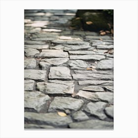 Stone Path In The Park Canvas Print