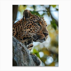 Leopard In The Jungle Canvas Print