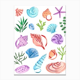 Seashells Final Canvas Print