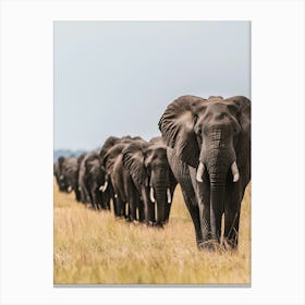 Herd Of Elephants 1 Canvas Print