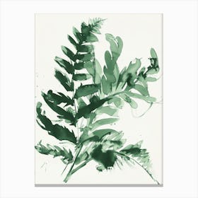 Green Ink Painting Of A Ribbon Fern 1 Canvas Print