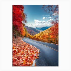 Beautiful Road In Autumn 15 Canvas Print