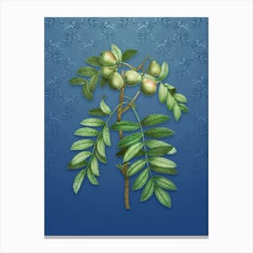 Vintage Service Tree Botanical on Bahama Blue Pattern n.1779 Canvas Print