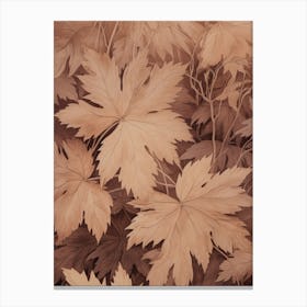 Antique Autumn Botanical Leaf Canvas Print