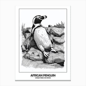 Penguin Sunbathing On Rocks Poster 1 Canvas Print