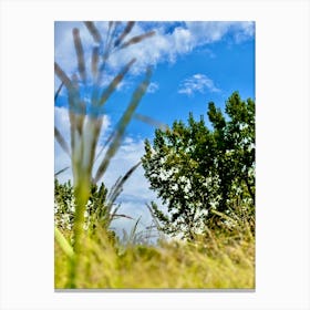 Long dock park Canvas Print