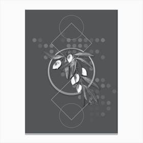 Vintage Olive Tree Branch Botanical with Line Motif and Dot Pattern in Ghost Gray 1 Canvas Print